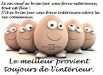 Cliquez pour lire l'article