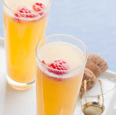 Mimosa Ideal Protein